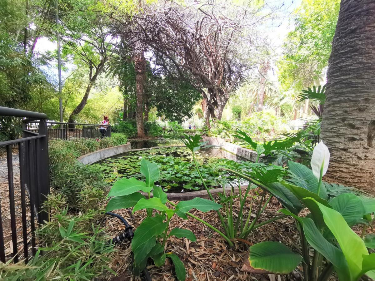 Home2Book Center Apartment Santa Cruz, Wifi المظهر الخارجي الصورة